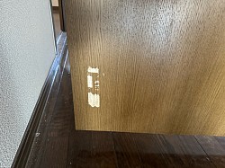 トビラ色ハゲ